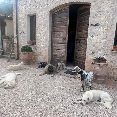 Setterhouseagrihotel Trevi Zewnętrze zdjęcie