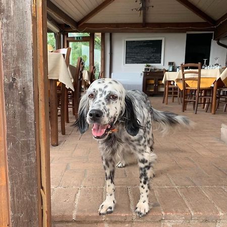 Setterhouseagrihotel Trevi Zewnętrze zdjęcie