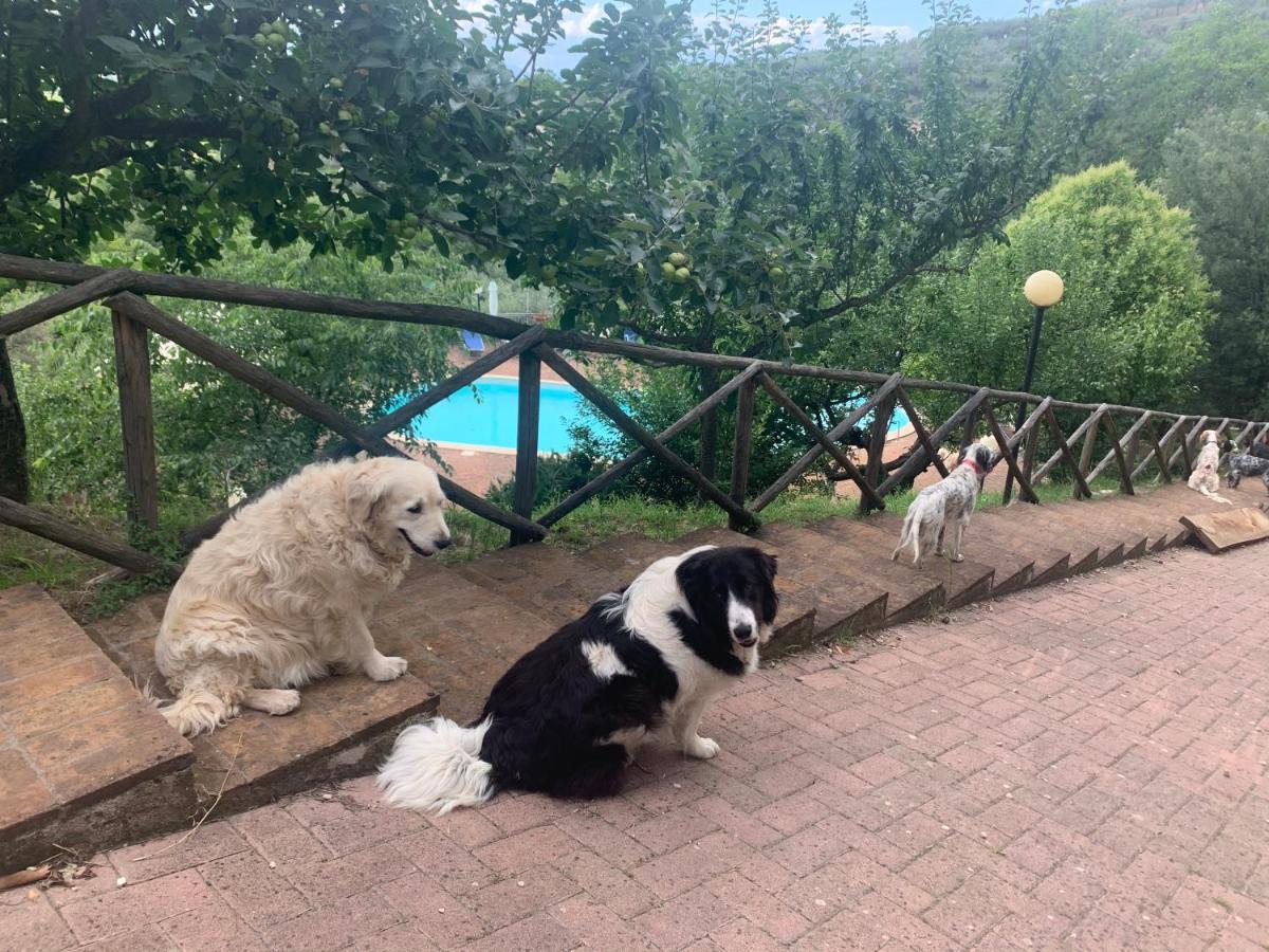 Setterhouseagrihotel Trevi Zewnętrze zdjęcie