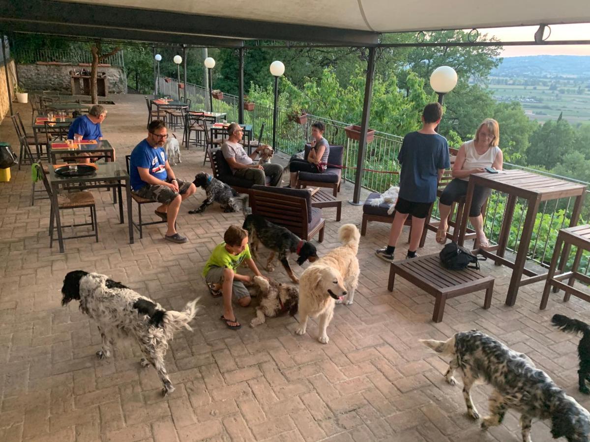 Setterhouseagrihotel Trevi Zewnętrze zdjęcie