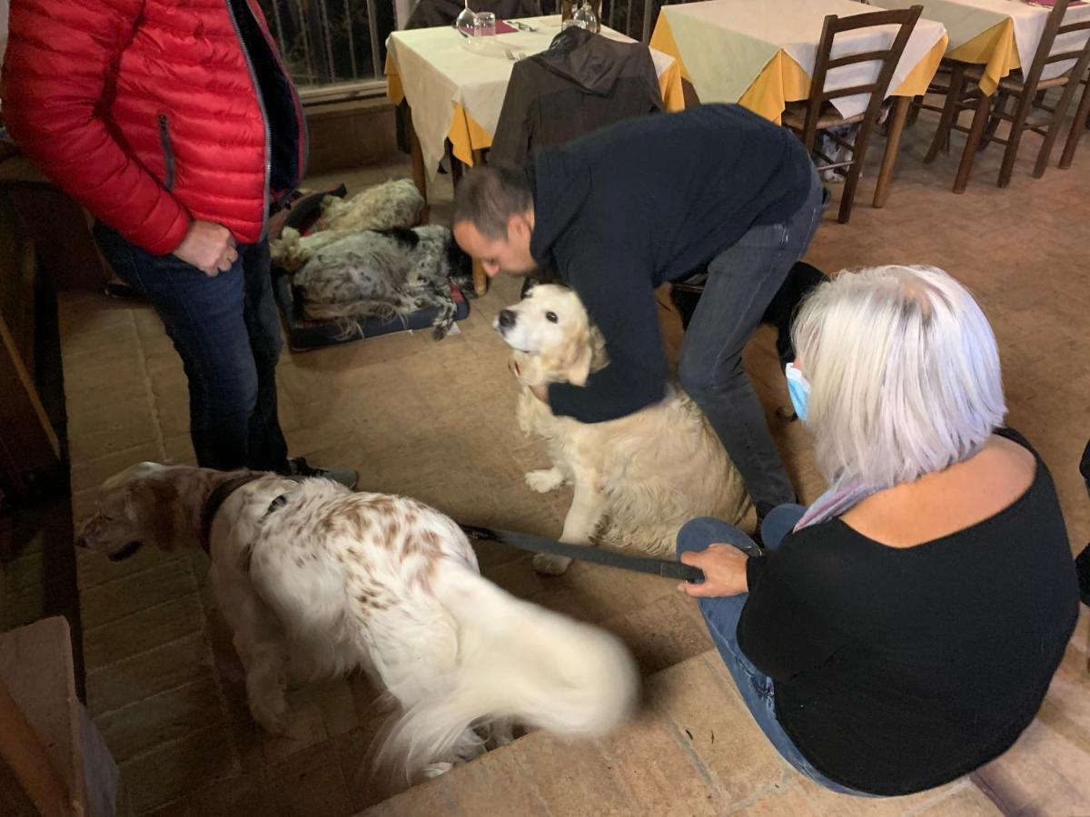 Setterhouseagrihotel Trevi Zewnętrze zdjęcie