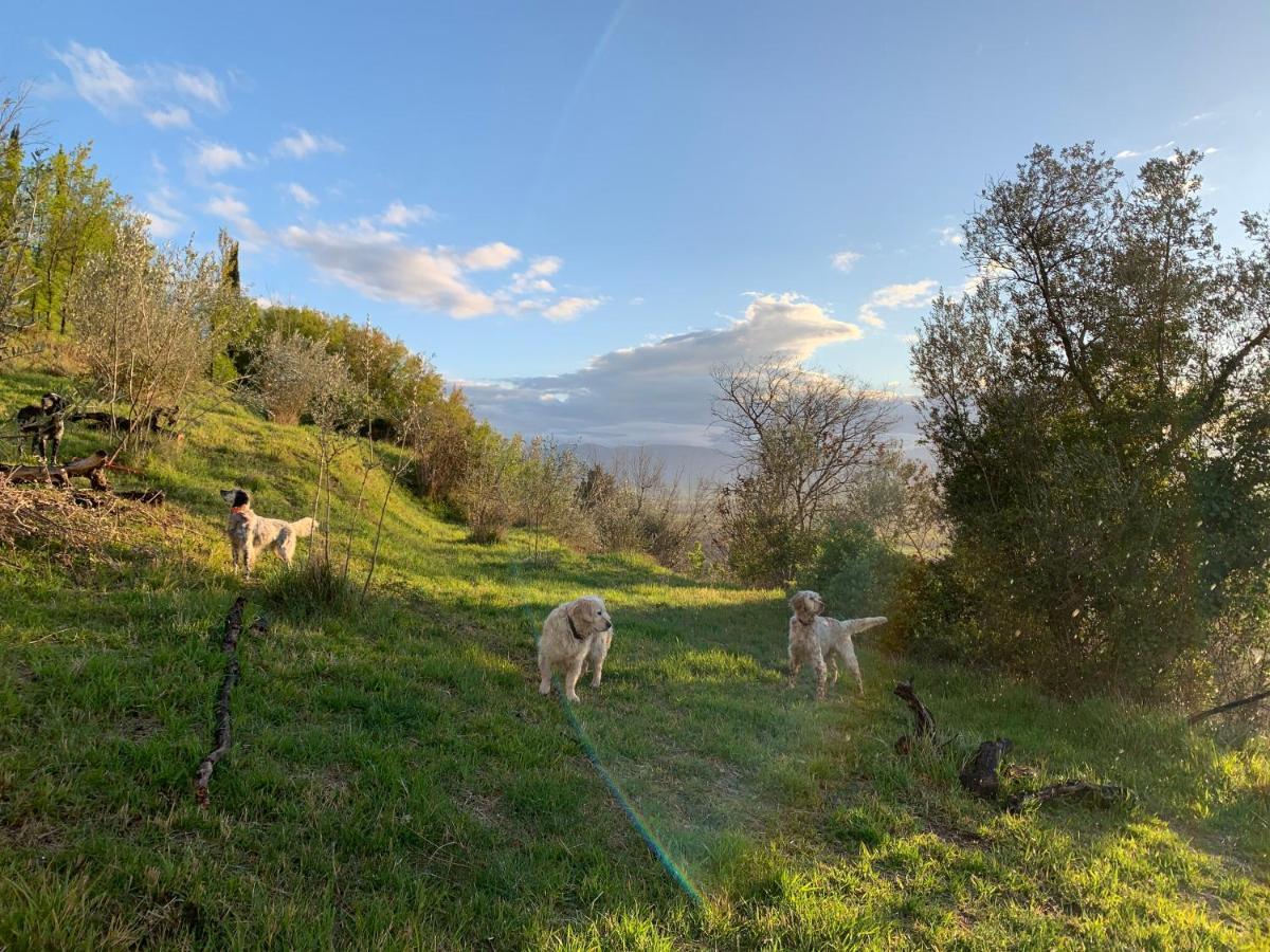 Setterhouseagrihotel Trevi Zewnętrze zdjęcie
