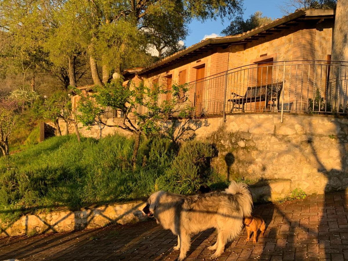 Setterhouseagrihotel Trevi Zewnętrze zdjęcie