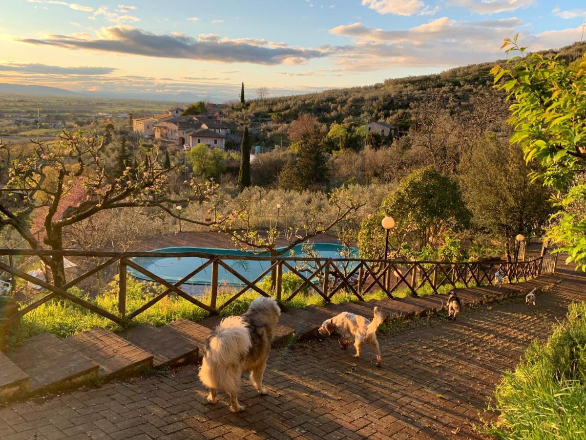Setterhouseagrihotel Trevi Zewnętrze zdjęcie