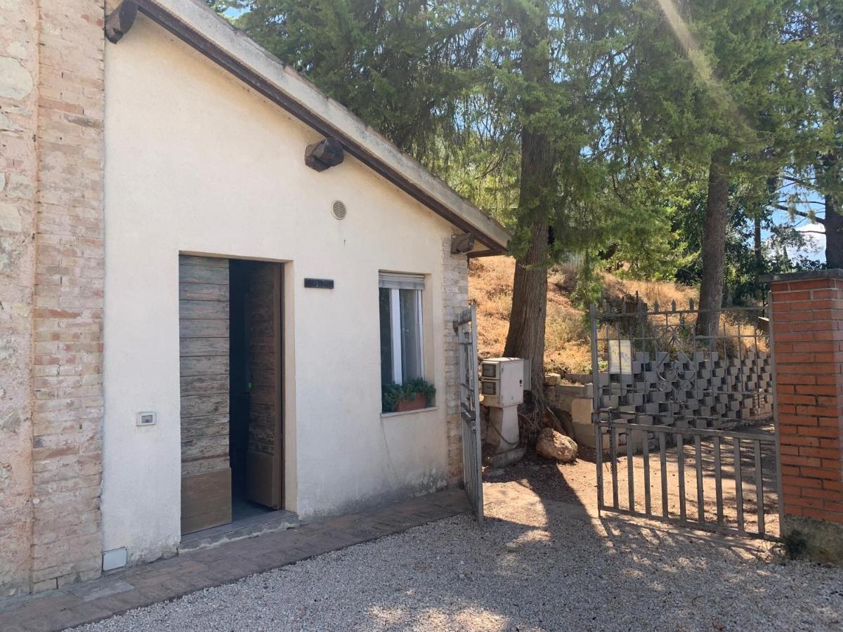 Setterhouseagrihotel Trevi Zewnętrze zdjęcie