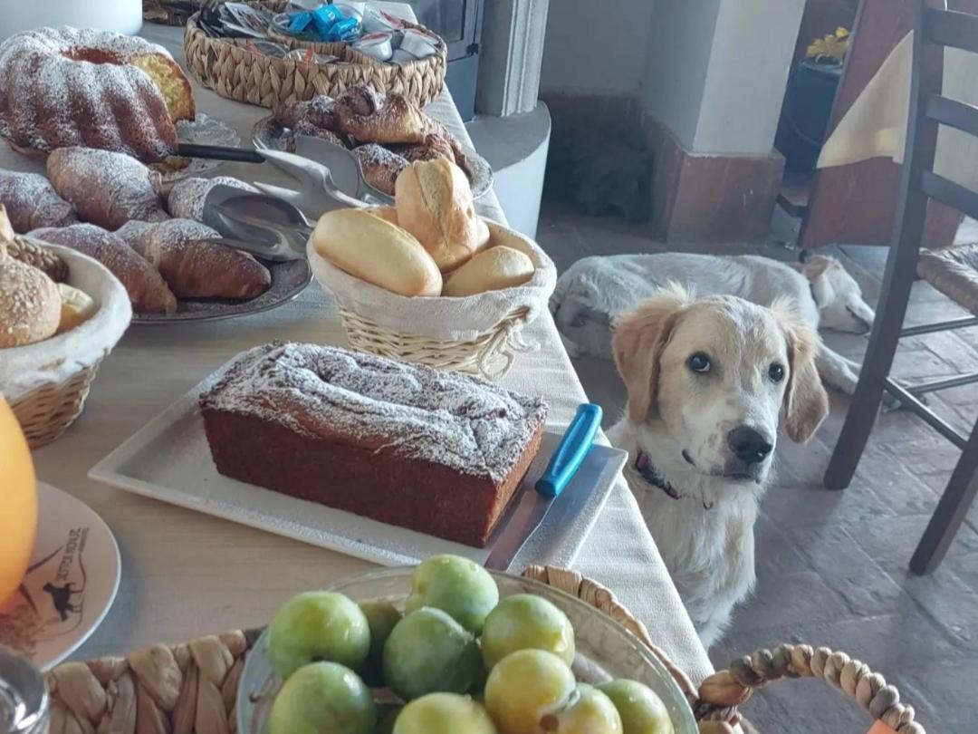 Setterhouseagrihotel Trevi Zewnętrze zdjęcie