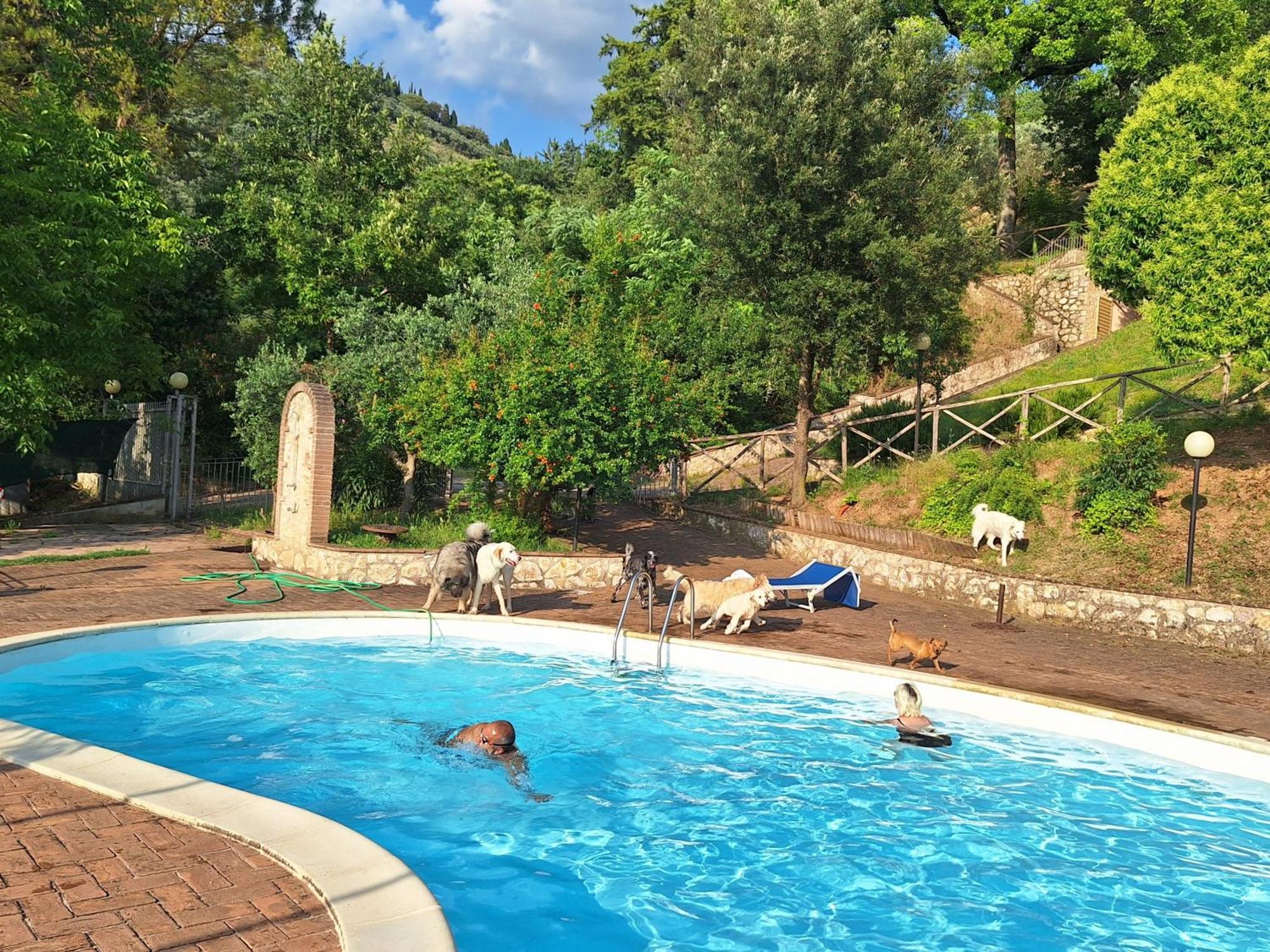 Setterhouseagrihotel Trevi Zewnętrze zdjęcie