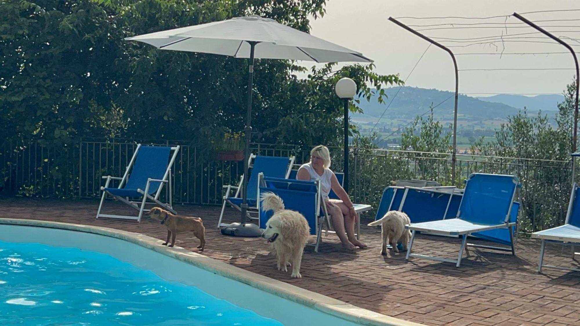 Setterhouseagrihotel Trevi Zewnętrze zdjęcie