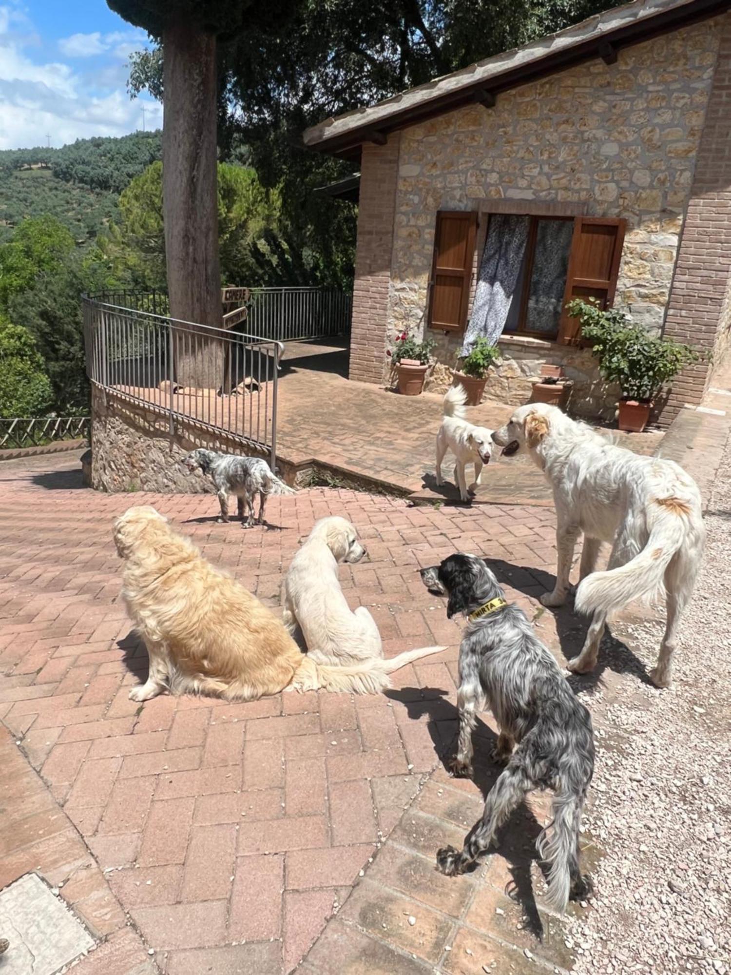 Setterhouseagrihotel Trevi Zewnętrze zdjęcie
