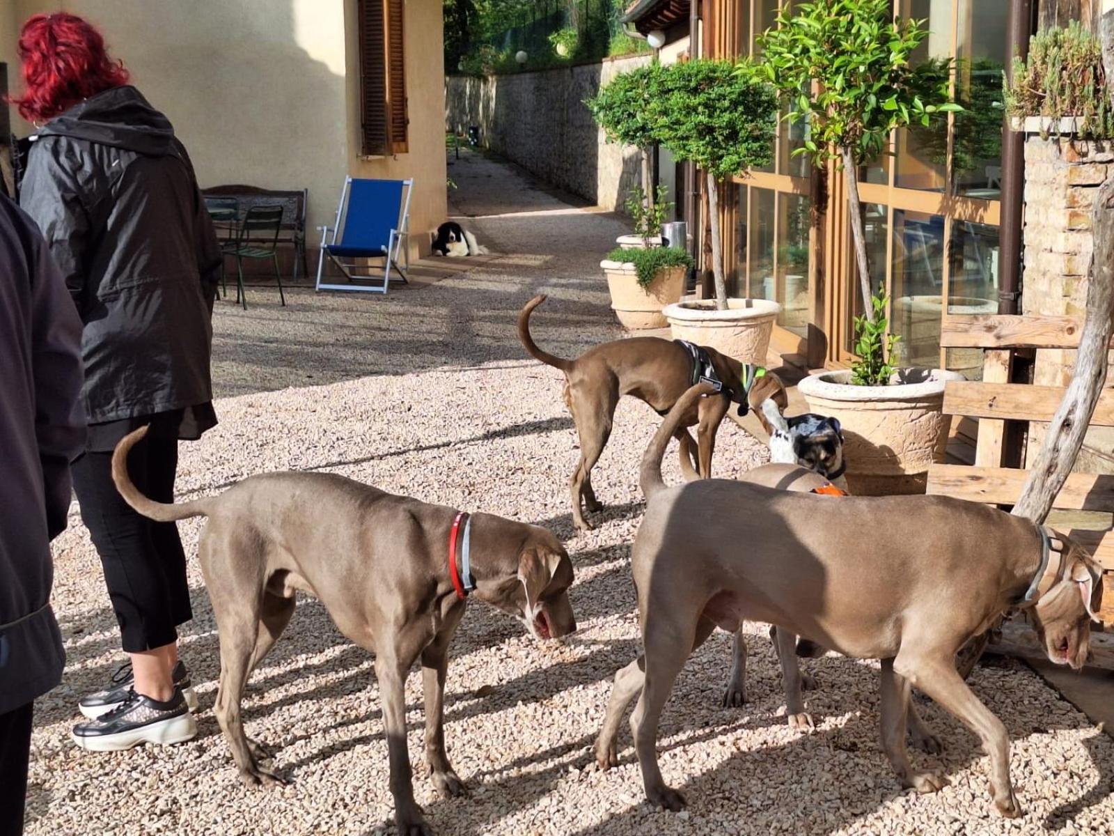 Setterhouseagrihotel Trevi Zewnętrze zdjęcie
