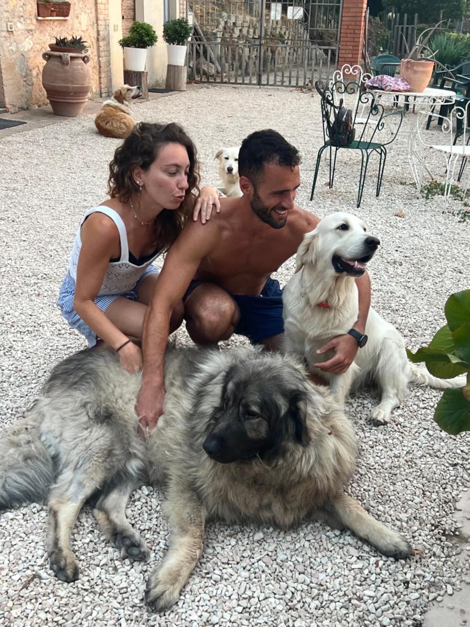 Setterhouseagrihotel Trevi Zewnętrze zdjęcie