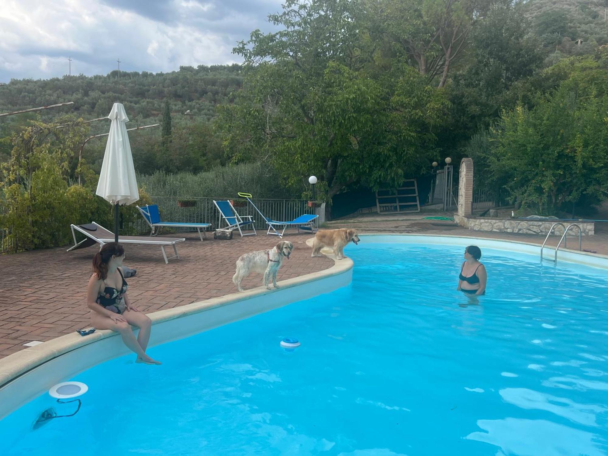 Setterhouseagrihotel Trevi Zewnętrze zdjęcie